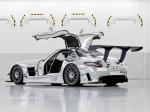 Mercedes-Benz SLS AMG GT3 2010 года